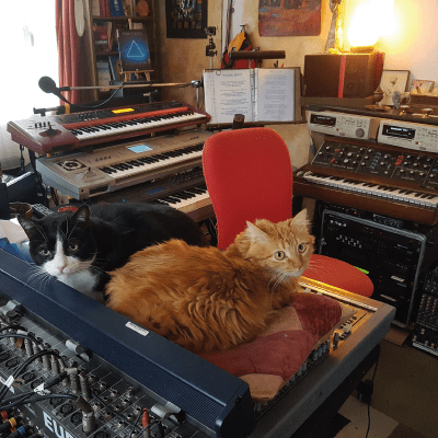 SynthFest - Participant - Hugo de Monfort