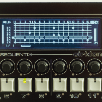 SynthFest - Participant - IPM