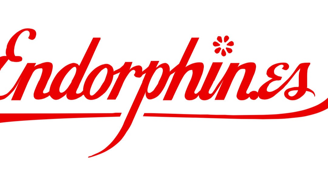 SynthFest France - Endorphines