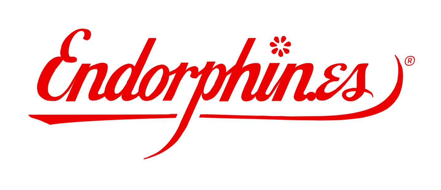 SynthFest France - Endorphines