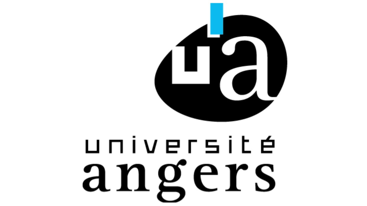 SynthFest France - Exposant