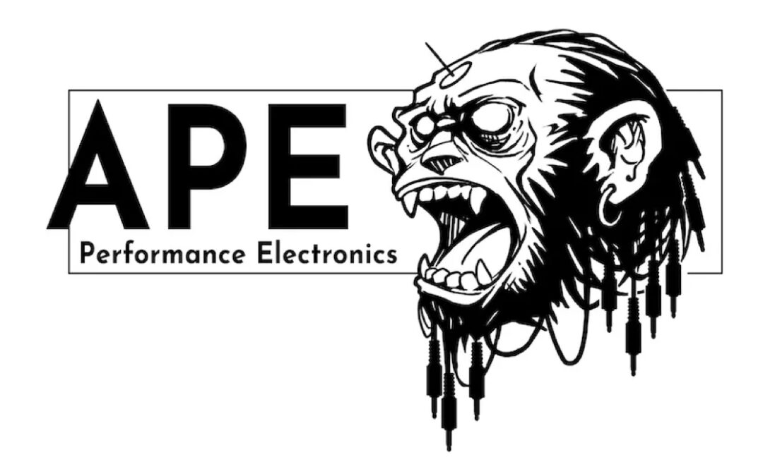 APE Performance Electronics